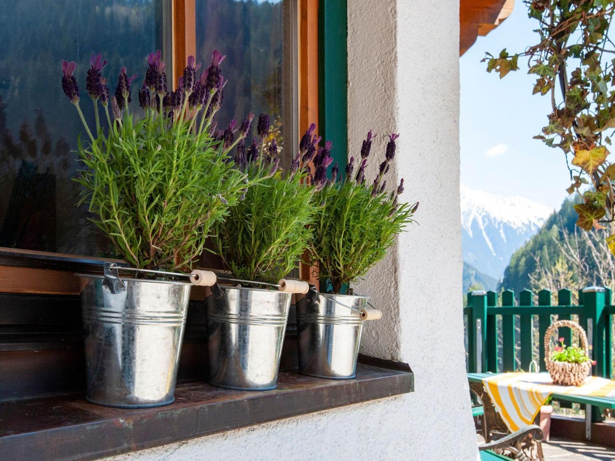 Apartment Between Mayrhofen And Finkenberg מראה חיצוני תמונה
